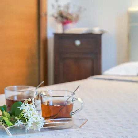 L'essenziale - Experience In Free Park & Wifi * Alba (Piedmont)